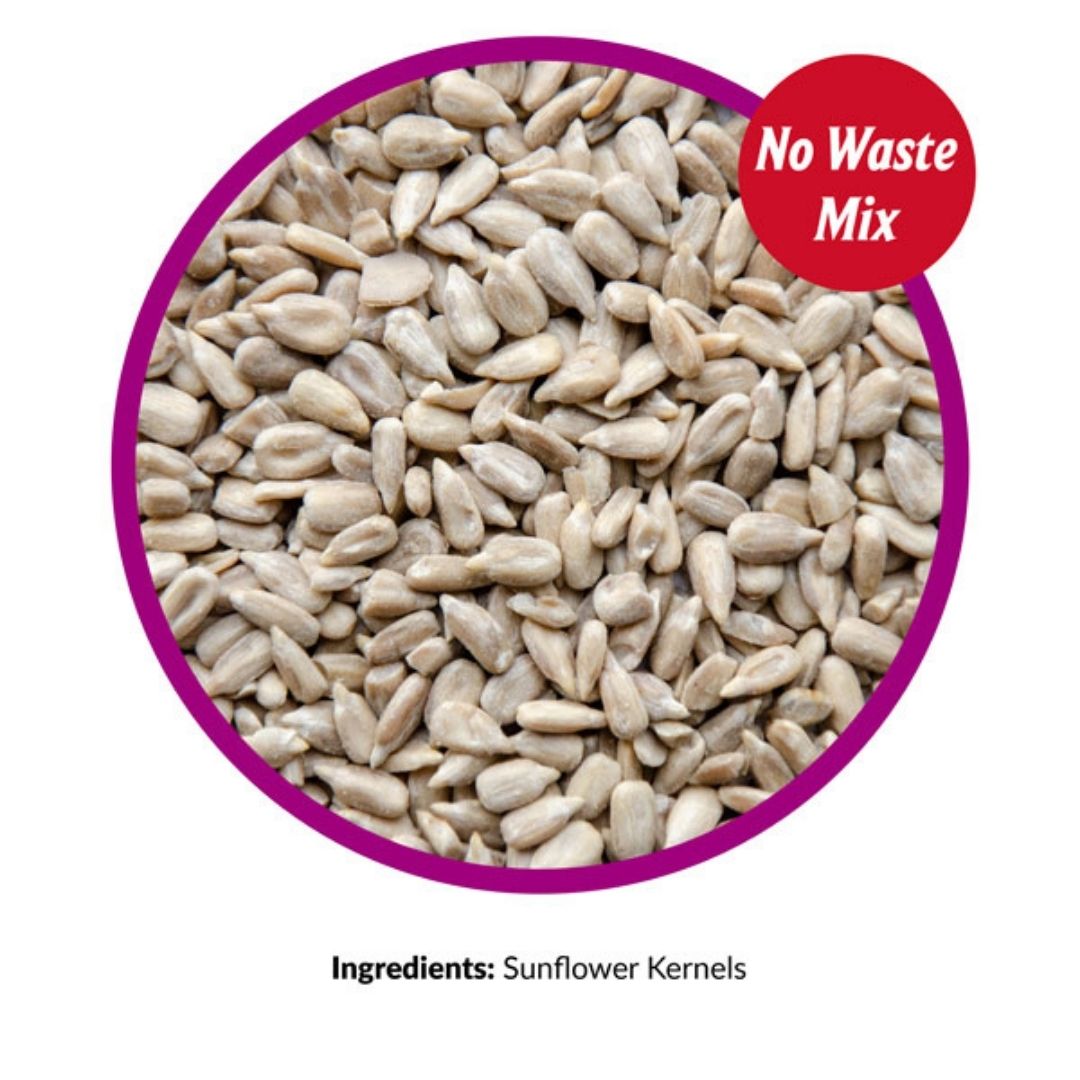 Sunflower Kernels – Lyric – 25 LB